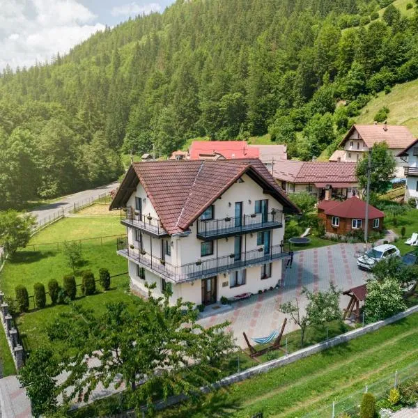 Transylvania Hut，位于米奥修德萨斯的酒店