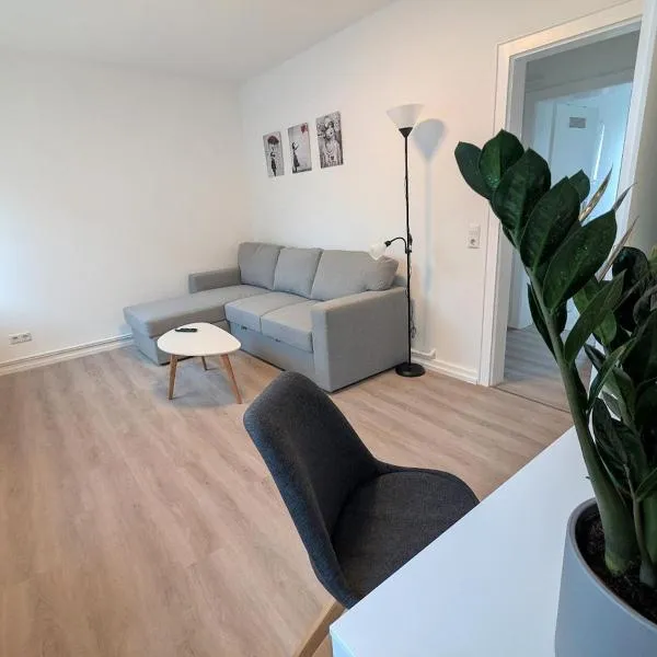 2 Zimmer Wohnung Zentrum Offenburg，位于奥芬堡的酒店