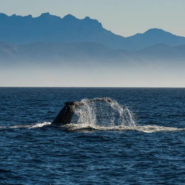 Staybridge Suites Oxnard - River Ridge by IHG，位于奥克斯纳德的酒店