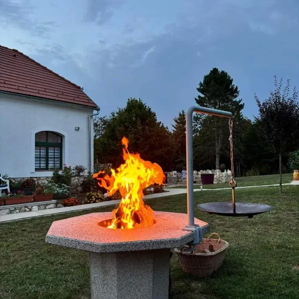 Fehér Bagoly Vendégház，位于Kovácsszénája的酒店