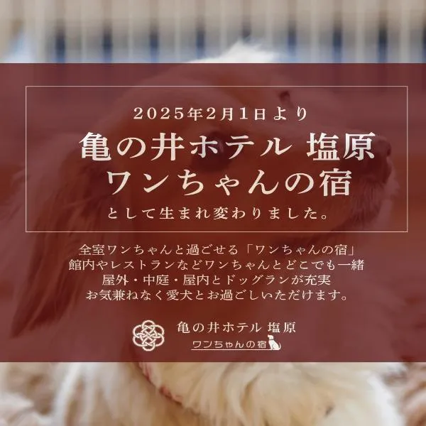 KAMENOI HOTEL SHIOBARA Dog Friendly Hotel，位于那须盐原市的酒店