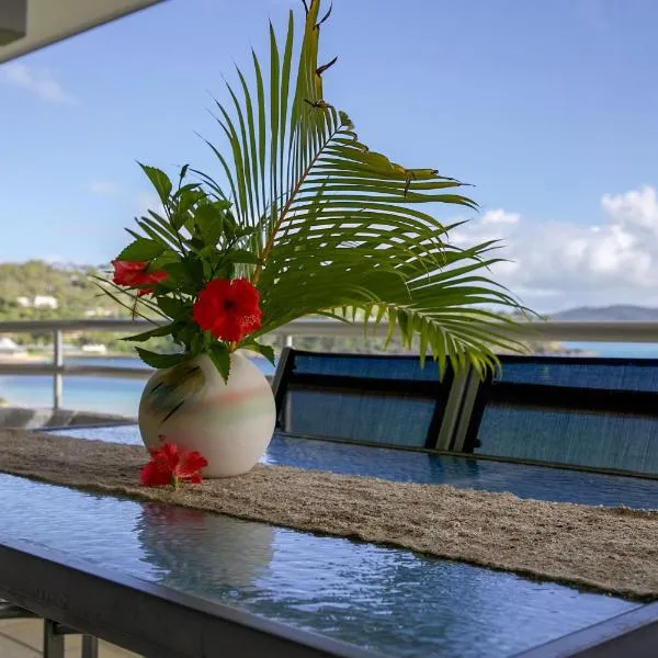 Frangipani 206 beachfront apartment，位于汉密尔顿岛的酒店