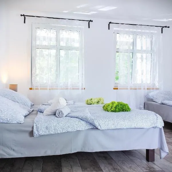 Wrzosowy Młyn - Twoje miejsce nad Jeziorem，位于缅济热奇的酒店