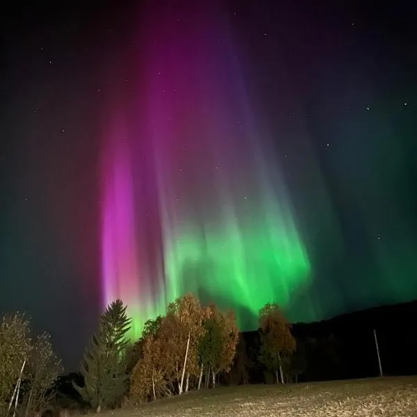 Aurora apartment Nygård，位于Sletta的酒店