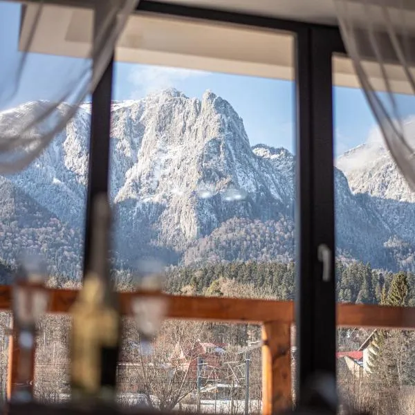 Yael Luxury Apartments 5，位于布什泰尼的酒店