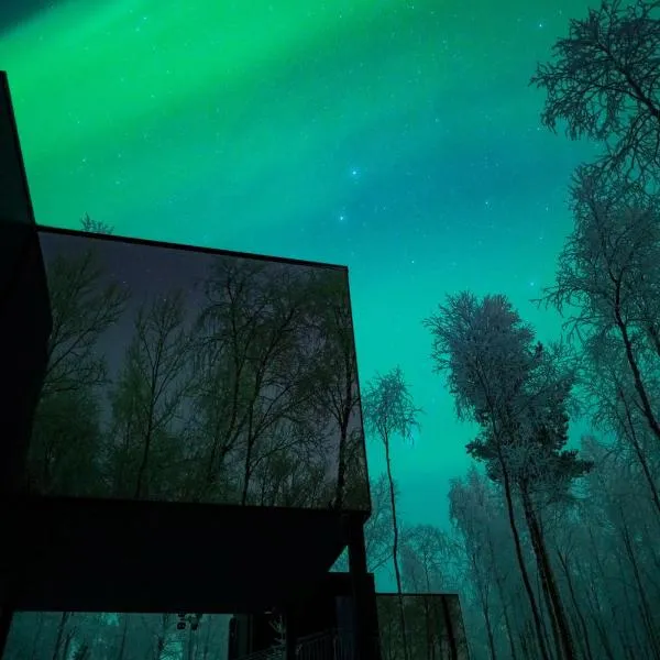 Silver Birch Resort Lapland，位于Rovaniemi的酒店