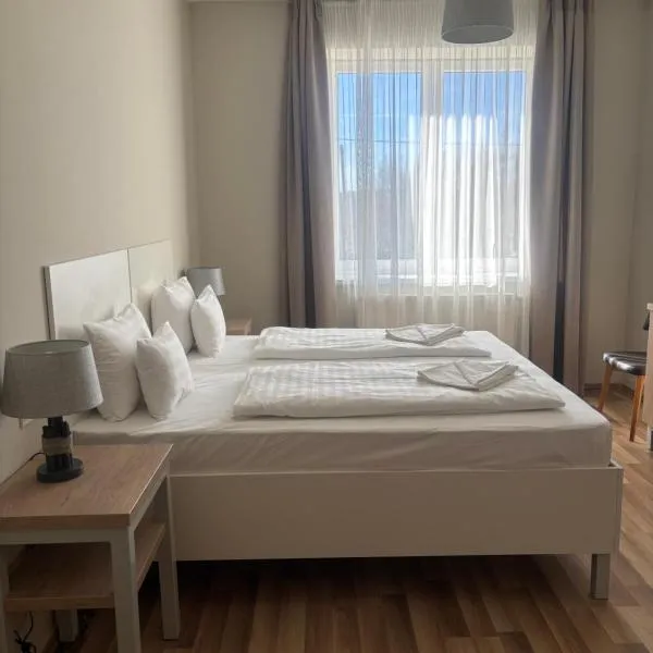 Selfness Hotel Vadvirág Mátraszentimre，位于马特劳森蒂姆赖的酒店