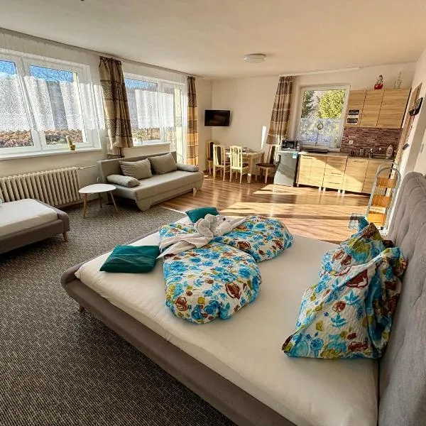 Villa Holiday Tatry，位于新里斯拉的酒店