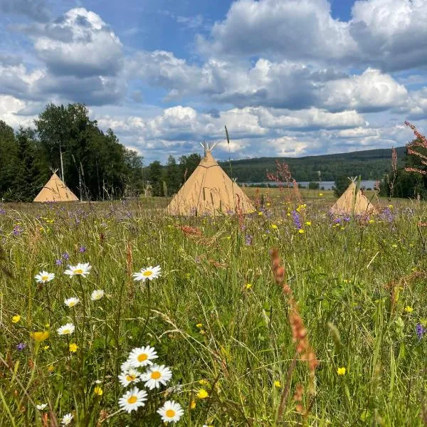 Förland Sunnemo，位于Sunnemo的酒店