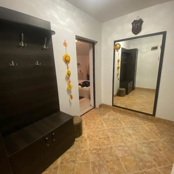 Liza Apartament，位于克卢日-纳波卡的酒店