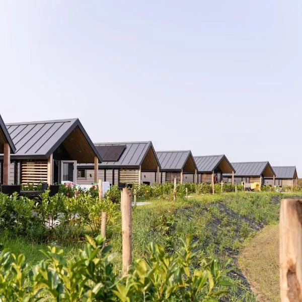 Berg Lodge，位于法尔肯堡的酒店