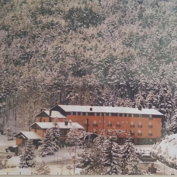 FINCA RUSTICA RB La Molina,位于拉莫利纳的酒店