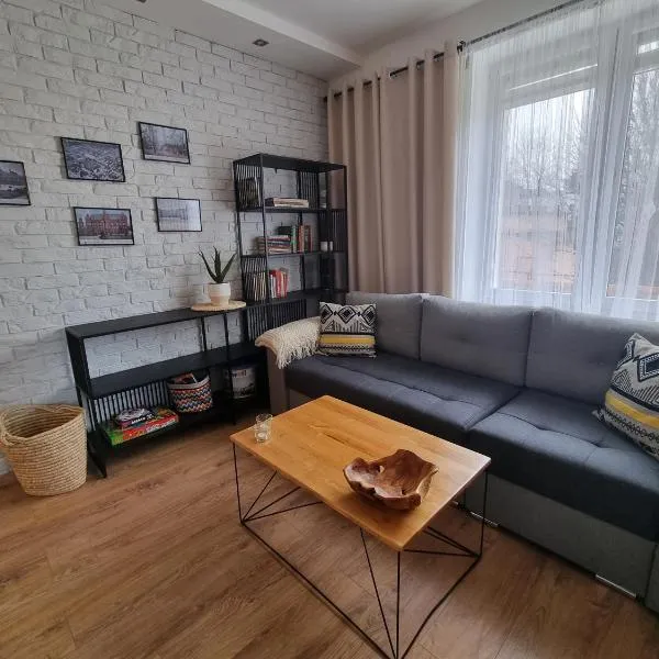 APARTAMENT w CENTRUM, BEZPŁATNY PARKING，位于科沙林的酒店