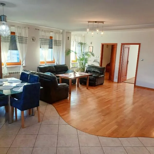 Apartamenty Aneta，位于Pleszew的酒店