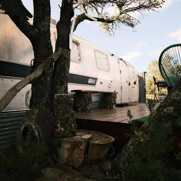 Silver Bullet Airstream, El Mistico Glamping Ranch，位于Nogal的酒店