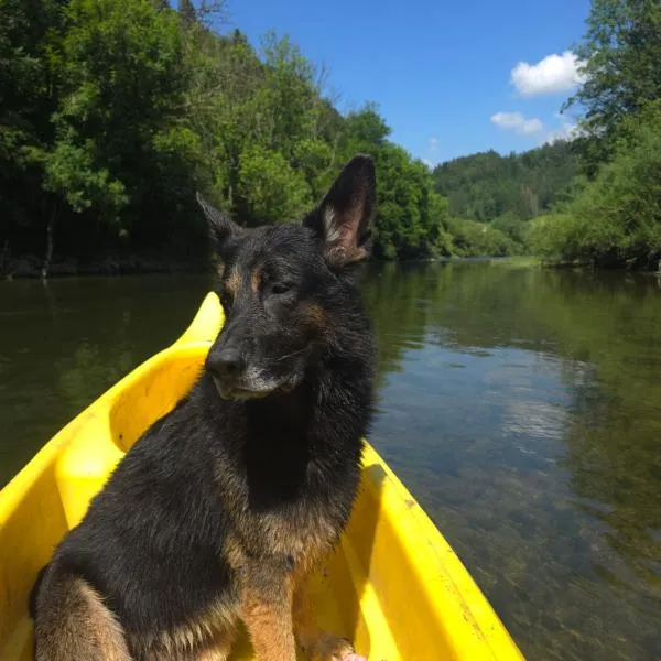 aschis Lodge 2，位于Soubey的酒店