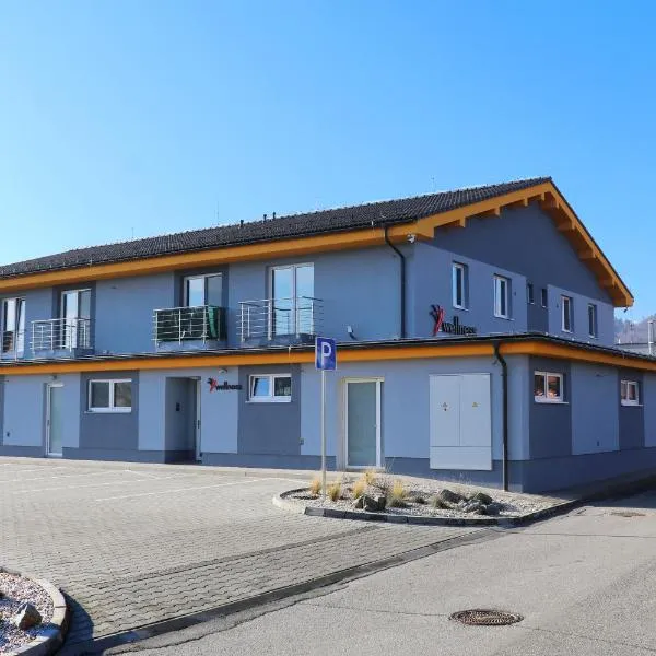 Apartmán Wellness-Detva，位于代特瓦的酒店