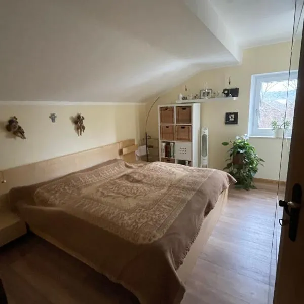 Alpen-Stadt Idylle，位于Dietramszell的酒店