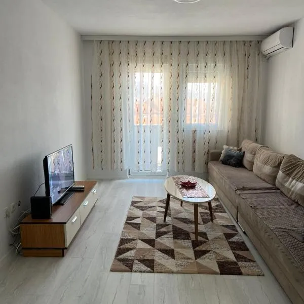 Apartment Dastidi，位于米特罗维察的酒店