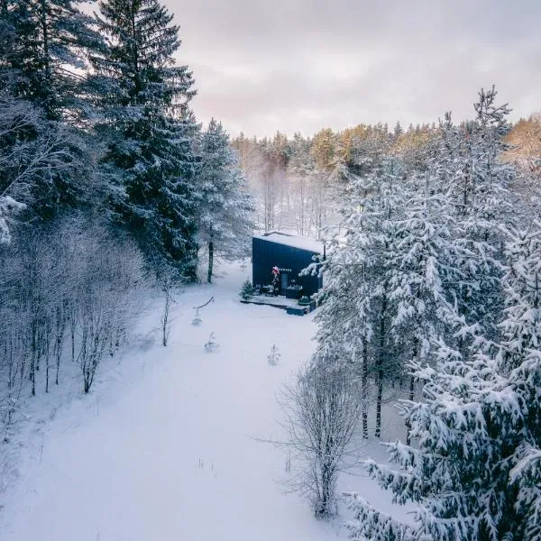 NEILA - 'Virš Ąžuolų' - Forest SPA - FREE jacuzzi，位于Paplatelė的酒店