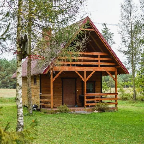 Agroturystyka Letnisko - Maks，位于Stara Kiszewa的酒店