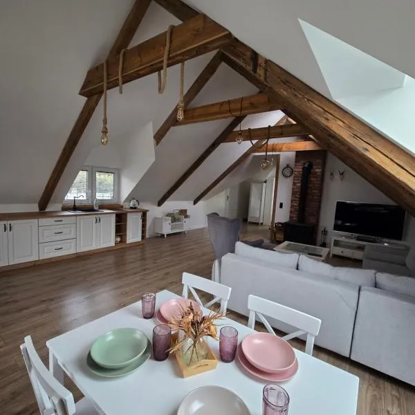 Apartament u Króla，位于Jabłonka的酒店