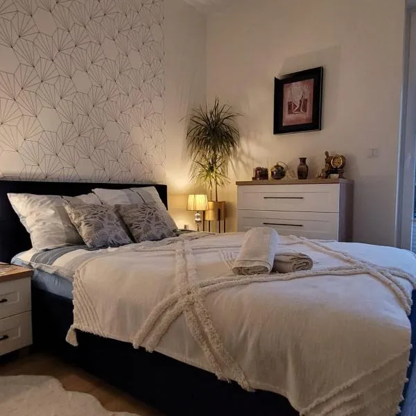 Apartament Chodzież blisko jeziora，位于霍杰日的酒店
