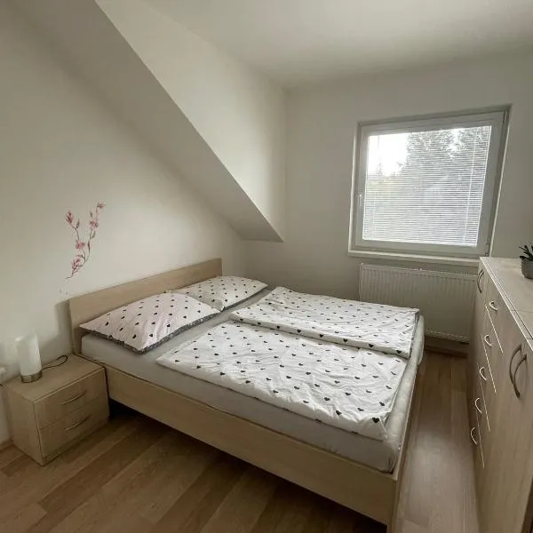 Sladký apartmán，位于杰多维尼切的酒店