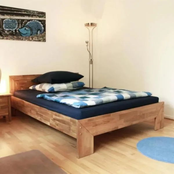 Munich Hostel，位于波德戈里察的酒店