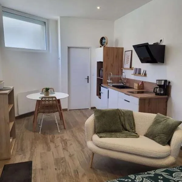 Studio centre d Arcis，位于Arcis-sur-Aube的酒店