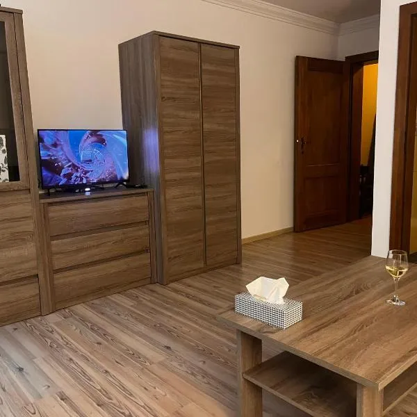 Studio w centrum miasta，位于杰尔若纽夫的酒店