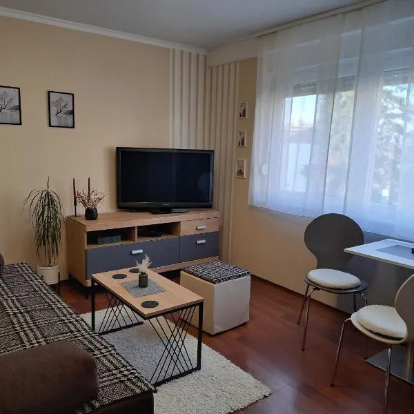 Apartman BELIS，位于Belišće的酒店
