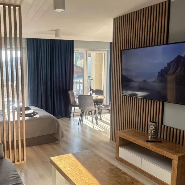 Apartament Nova Starówka，位于科宁的酒店