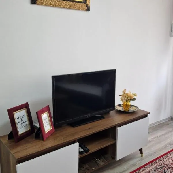 Fush Kosov Apartment Center，位于Kosovo Polje的酒店