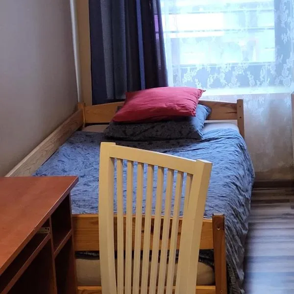 Hostel Gliwice Centrum PARKING，位于格利维采的酒店