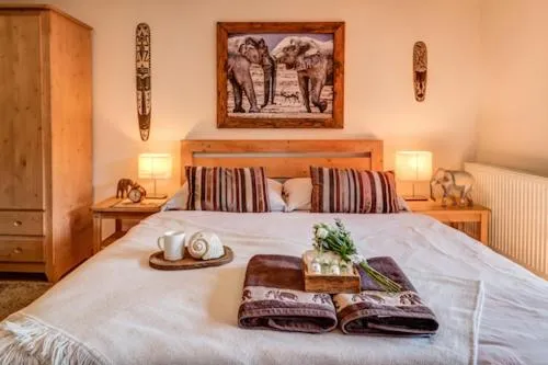 Africa House，位于兹林的酒店