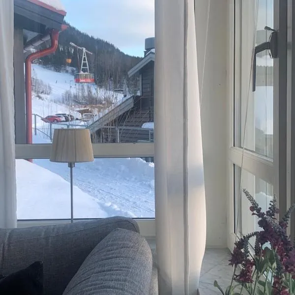 Perfect location ski-in Åre，位于奥勒的酒店