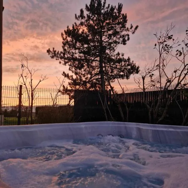 Chalet JACUZZI/spa privatif PERCE NEIGE，位于普隆比埃莱班的酒店