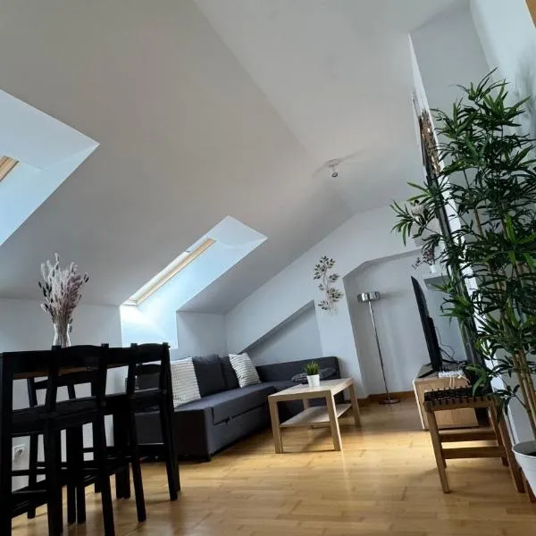 Apartamentos Suites Olmedo，位于奥尔梅多的酒店