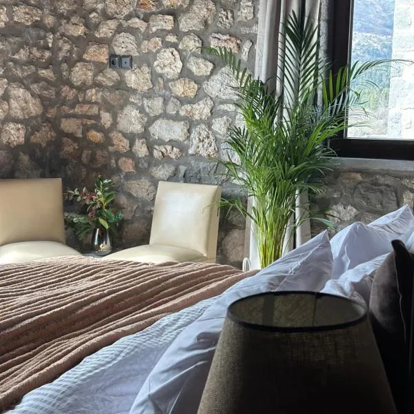 Wood & Stone Guesthouse，位于Khrisovítsion的酒店