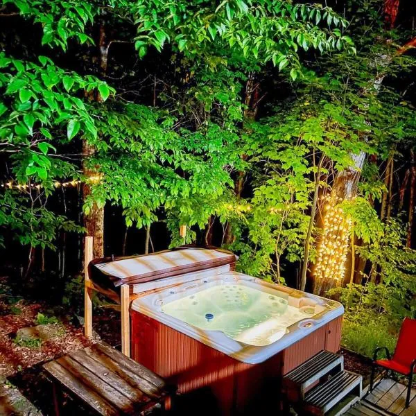 Log cabin with HOT TUB and view，位于La Minerve的酒店