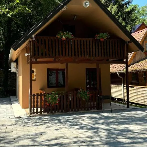 Riverside Cabin，位于Železnička Stanica Ovčar Banja的酒店