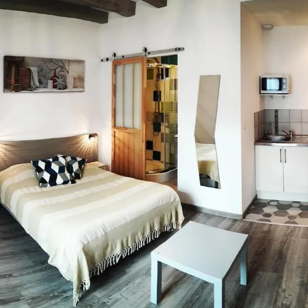 Joli studio au calme 10 min de Tours centre，位于方蒂提斯的酒店