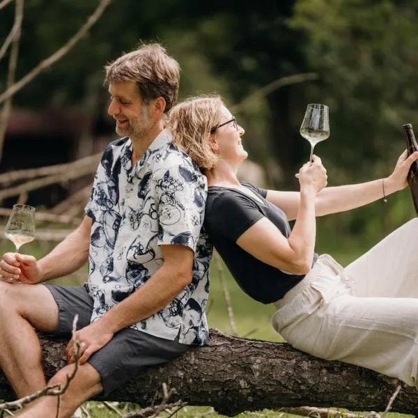 Monschein Weingut Straden，位于Straden的酒店
