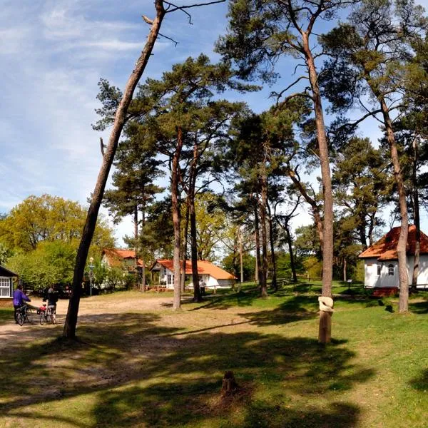 Gaststätte und Pension Zum Klausner，位于克洛斯特的酒店