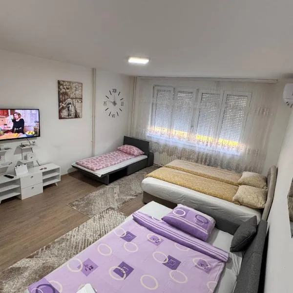 Apartman Panda Priboj，位于Priboj的酒店
