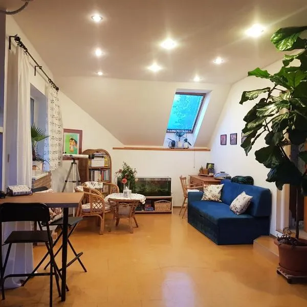 Apartmán Sluníčko，位于Ohrazenice的酒店