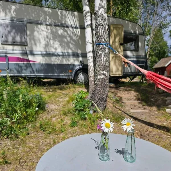 Caravan on eco farm with external bathroom - Bjorngarden，位于孙讷的酒店