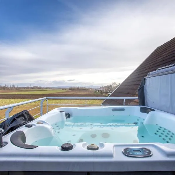 ESPLANADE HOME Private SPA Jacuzzi Sauna Parking, Colmar，位于Muntzenheim的酒店