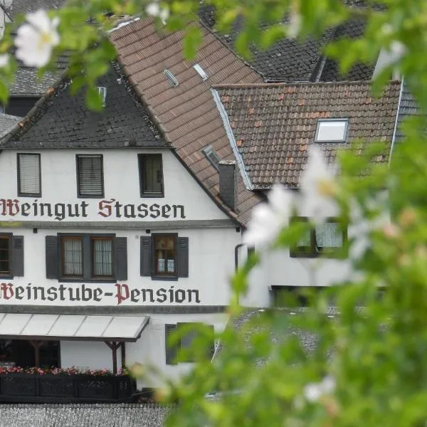 Weingut Stassen，位于Trechtingshausen的酒店